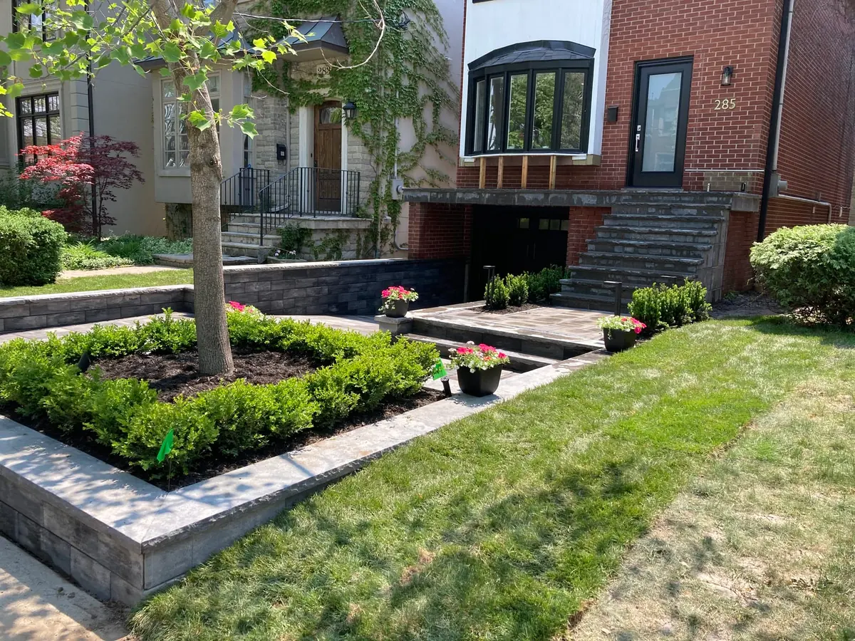A front yard planting bed with boxwood hedges around a tree, a low stone wall, and steps to the house entrance.