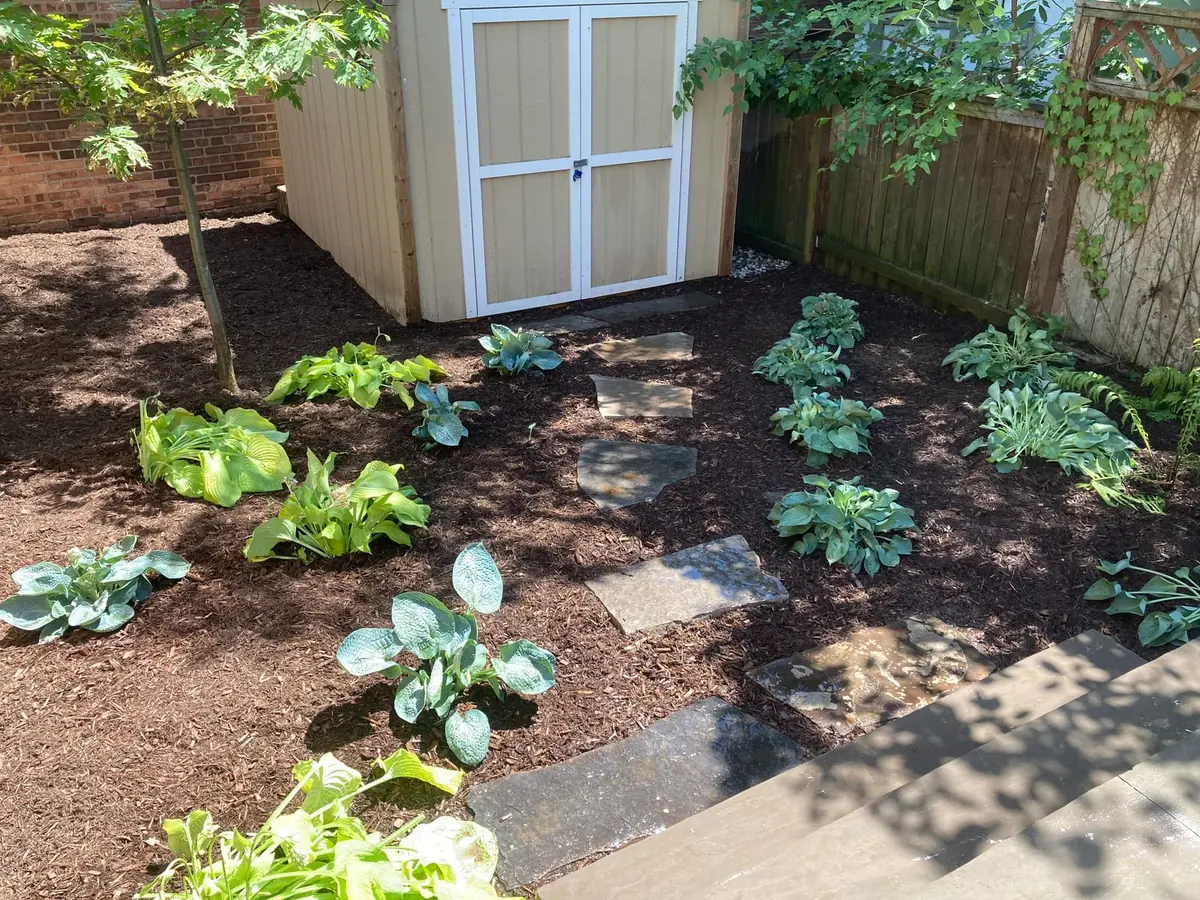 A stepping-stone path through the garden bed leading to the shed door.